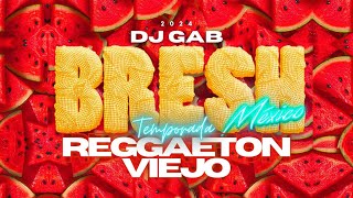 😈 TEMPORADA REGGAETON VIEJO 🔥 BRESH 🌙 Reggaeton x Clasicos ⏮️ MIX MAYO OLD SCHOOL 🍺 DJ GAB 🇲🇽 [upl. by Serra]