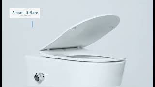 Wall hung rimless toilet Temo Bidet P322X [upl. by Bodkin652]