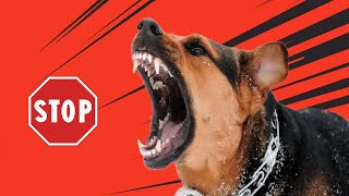 Stop Dogs Barking High Frequency [upl. by Accire26]