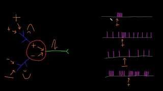 Action potential patterns [upl. by Airlee282]