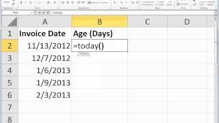 Excel  TODAY Function [upl. by Jaquelin]