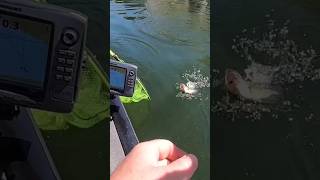 Fishing Team catchandrelease blackbass fishing life bass bassfishing pesca rio short lake [upl. by Jessamyn]