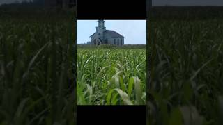 In the tall grass  survival horror thriller movie [upl. by Fritts]