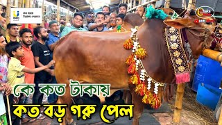 কার গরুর দাম কত কেমন হয়েছে জানতে ভিডিওটি দেখুন গাবতলী গরুর হাট ২০২৪ [upl. by Allecnirp]