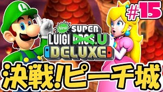 ピーチ城に突入マグマステージを攻略せよスイッチ版最速実況Part15【NewスーパールイージU】 [upl. by Lorianna937]