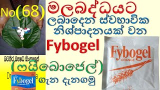 Fybogel in sinhala  ispaghula husk  fibre drink  Fybogel  ෆයිබොජෙල් ගැන දැනගමු [upl. by Agostino]