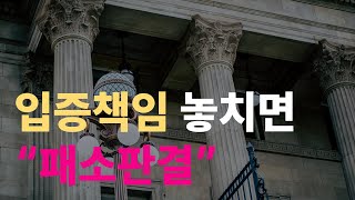 나에게 입증책임이 있다는데 어떻게 해야 하나요 [upl. by Stout]