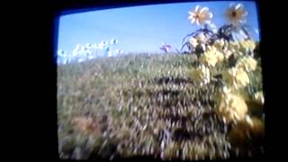 Opening To Dance With The Teletubbies 1998 VHS [upl. by Bartlet100]