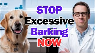 STOP Excessive Barking NOW with This Proven Method [upl. by Enilarac439]