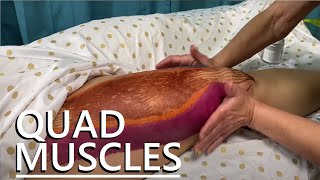 How to Massage the Quadriceps [upl. by Kcirej]