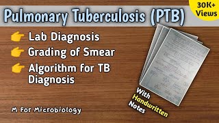 Pulmonary Tuberculosis  TB lab diagnosis  Diagnostic algorithm for TB  Notes  M For Microbiology [upl. by Jayson]