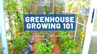 Greenhouse Growing Basics 101  For beginners and intermediate  Design Pros and cons Quirks Tips [upl. by Anenahs]