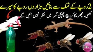 Get Rid of Rats Mosquito Cockroach Lizard With Homemade SprayPowerful Insects Killer Remedy [upl. by Mok]