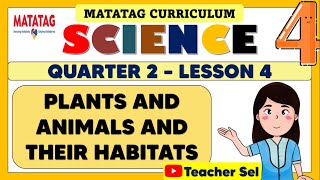 SCIENCE 4 QUARTER 2 WEEK 4 MATATAG  PLANTS AND ANIMALS AND THEIR HABITATS [upl. by Archie197]