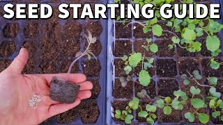 The Ultimate Beginners Guide To STARTING SEEDS Indoors [upl. by Geminian]