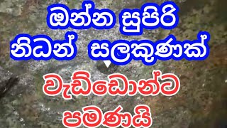 Nidan Salakunu නිදන් සලකුනු සොයා ගිය ගමනක් නෙළුම් මල [upl. by Poirer]