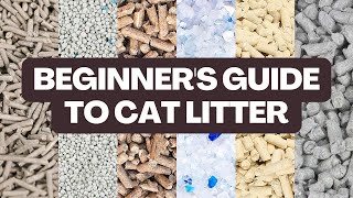 What TYPE of Cat Litter Should You Buy  Beginners Guide [upl. by Terhune]