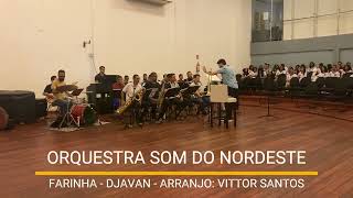 ORQUESTRA SOM DO NORDESTE  FARINHA DJAVAN [upl. by Saile275]