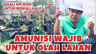 Aplikasi Nutrisi Vegetatif Tricodherma Mikoriza ke Tanaman Jagung Saya [upl. by Arihaj464]