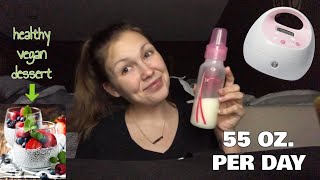 HOW I PUMP 1500 ML PER DAY   healthy dessert recipe  Day in the Life VLOG [upl. by Falda977]