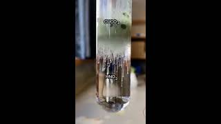 Reaction of copper carbonate with nitric acid  CuCO3  dil HNO3  Amazing chemical reaction shorts [upl. by Durrett719]