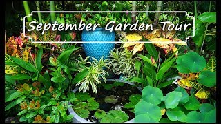 September Garden Tour amp Houseplant Updates [upl. by Wagner419]