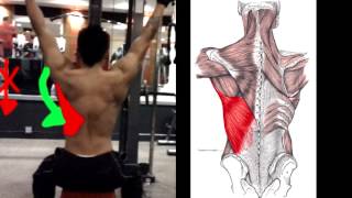 How To Properly Do Lat Pulldowns [upl. by Aelahc]