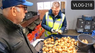 FARMVLOG 218 gele uien tarreren bij Waterman Onions [upl. by Erdnoed]