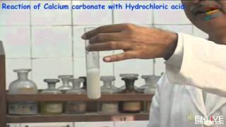 Reaction of Calcium carbonate with Hydrochloric acid [upl. by Roel]