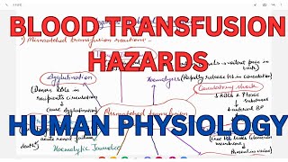 Hazards of Blood Transfusion Blood Group HUMAN PHYSIOLOGY [upl. by Corabella]