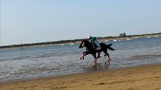 CARRERAS DE CABALLO 2023  TRAVEL TOUR HORSE RACING IN SANLUCAR DE BARRAMEDA 2023 [upl. by Ainesy]