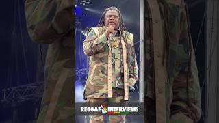 Luciano live at Reggae Land luciano messenjah reggae reggaeinterviews [upl. by Ashli]