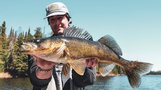 Scientific Secrets for PostSpawn Walleye Fishing [upl. by Blaseio846]