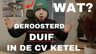 LEVENSGEVAARLIJK Een Duif is levend geroosterd in een cv ketel Jongens Onderhoud Is Belangrijk [upl. by Ennayd657]