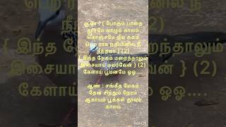 Ilayaraja hitsSangeetha Megam Song Lyrics  சங்கீத மேகம்தேன் சிந்தும்  SP Balasubrahmaniyam [upl. by Amersham]