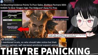 Woke Devs PANICK Over Low Sales While Writer Continues To Attack Gamers [upl. by Sukramed381]