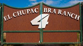 Racer X Films El Chupacabra Ranch Update with Blake Baggett [upl. by Cardie209]