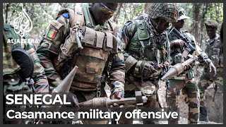 Senegal army captures MFDC rebel bases in Casamance region [upl. by Custer]