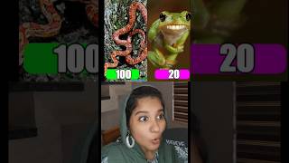 Which animal has more teeths funny tamallureaction shortsfeed reactionvideo animals viralr [upl. by Shantee845]