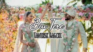 Bin Tere  Rakulpreet Singh ❤️ Jackky Bhagnani Only Lyrics  Bin Tere Tanishsk Bagchi Lyrics [upl. by Utham]