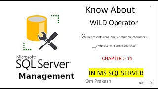 Wild Operator Like operator in sql Server [upl. by Nnylrefinnej]