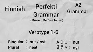 Finnish Perfekti Grammar  Present Perfect Tense [upl. by Refinnej]