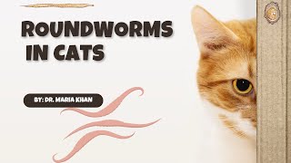 HOW TO PREVENT ROUNDWORMS IN CATS cute cat cats [upl. by Eadrahs]