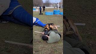 Police dog training😮 K9 Malinois attack in a muzzle GUARDODESSA Odessa Ukraine [upl. by Willard]