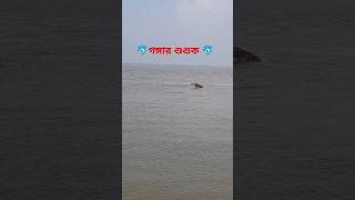 গঙ্গার শুশুকGanges River Dolphin [upl. by Lletnahc432]