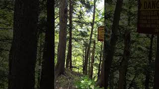 Dangerous Hike Gorge trail Whetstone Gulf NY dakine hiking [upl. by Hennebery211]