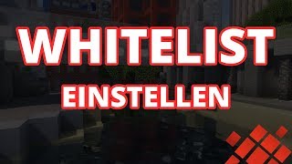 Whitelist auf Minecraft Server einstellen  Minehubde [upl. by Nnil]