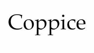 How to Pronounce Coppice [upl. by Risan557]