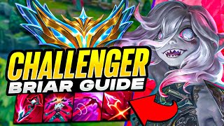 HOW TO PLAY BRIAR RANK 1 CHALLENGER GUIDE [upl. by Innad]