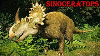 sinoceratops [upl. by Eeslek]